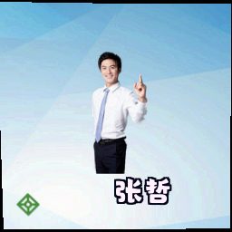 张哲